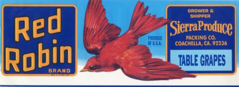 Red Robin